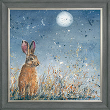 Load image into Gallery viewer, Hayden