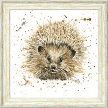Load image into Gallery viewer, Herbert