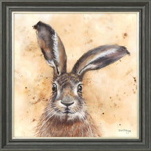 Load image into Gallery viewer, Horatio Brown