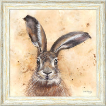 Load image into Gallery viewer, Horatio Brown