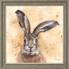 Load image into Gallery viewer, Horatio Brown