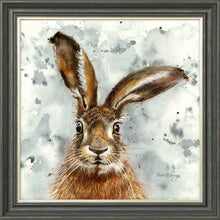 Load image into Gallery viewer, Horatio Grey