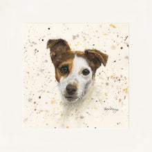 Load image into Gallery viewer, Jake