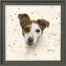 Load image into Gallery viewer, Jake