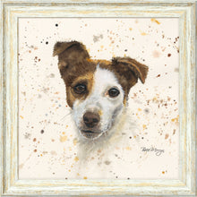 Load image into Gallery viewer, Jake