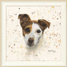 Load image into Gallery viewer, Jake