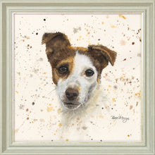 Load image into Gallery viewer, Jake