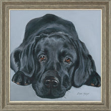 Load image into Gallery viewer, Jet