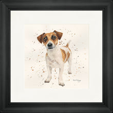 Load image into Gallery viewer, Joey