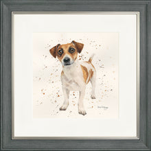 Load image into Gallery viewer, Joey
