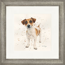 Load image into Gallery viewer, Joey