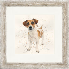 Load image into Gallery viewer, Joey