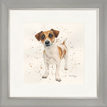 Load image into Gallery viewer, Joey