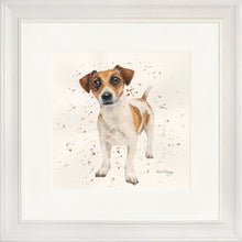 Load image into Gallery viewer, Joey
