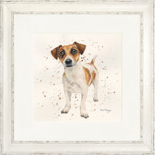 Load image into Gallery viewer, Joey