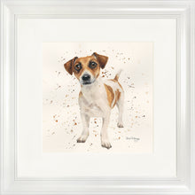Load image into Gallery viewer, Joey