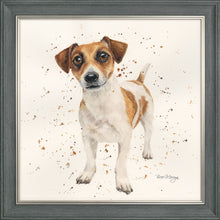 Load image into Gallery viewer, Joey
