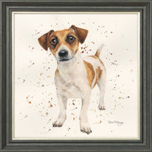 Load image into Gallery viewer, Joey