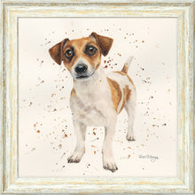 Load image into Gallery viewer, Joey