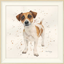 Load image into Gallery viewer, Joey