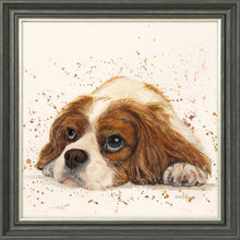Load image into Gallery viewer, Kendall