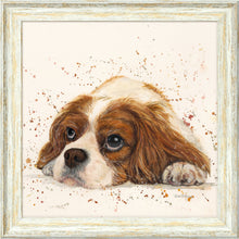 Load image into Gallery viewer, Kendall