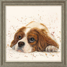Load image into Gallery viewer, Kendall