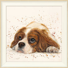 Load image into Gallery viewer, Kendall