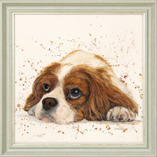 Load image into Gallery viewer, Kendall
