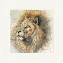 Load image into Gallery viewer, Lex