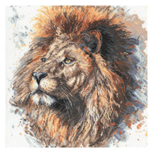 Load image into Gallery viewer, Lex