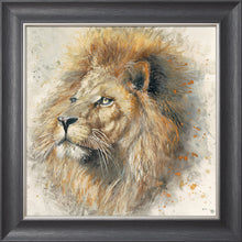 Load image into Gallery viewer, Lex