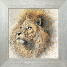 Load image into Gallery viewer, Lex