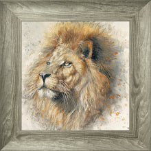 Load image into Gallery viewer, Lex