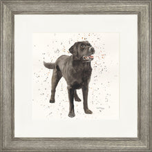 Load image into Gallery viewer, Licorice
