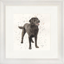 Load image into Gallery viewer, Licorice