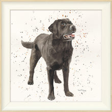 Load image into Gallery viewer, Licorice
