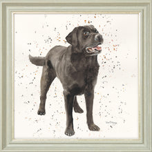 Load image into Gallery viewer, Licorice