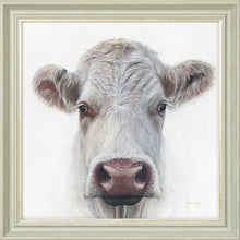 Load image into Gallery viewer, Lily