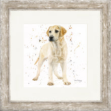 Load image into Gallery viewer, Lola