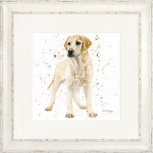Load image into Gallery viewer, Lola