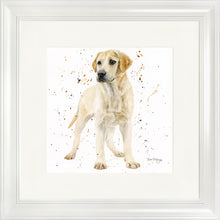 Load image into Gallery viewer, Lola