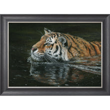 Load image into Gallery viewer, Majestic