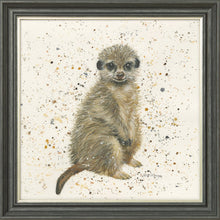 Load image into Gallery viewer, Marcus