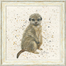 Load image into Gallery viewer, Marcus