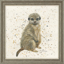 Load image into Gallery viewer, Marcus