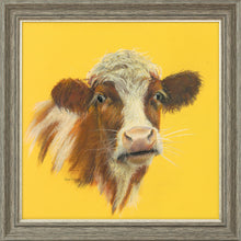 Load image into Gallery viewer, Marigold