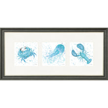 Load image into Gallery viewer, Marine Medley Blue