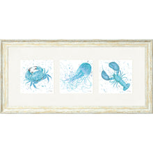 Load image into Gallery viewer, Marine Medley Blue