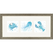 Load image into Gallery viewer, Marine Medley Blue